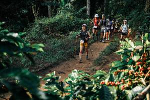 BIB: 
                            <button type="button" onclick="openModal(25845421)" class="btn btn-primary btn-sm float-right btn-popup" data-toggle="modal" data-target=".modal-high-quality">
                        <i class="fas fa-shopping-cart"></i> Add to Cart
                    </button>
                                            <button type="button" onclick="isThisMe(25845421, true)" class="btn btn-success btn-sm float-right btn-popup btn-isme hidden" data-toggle="tooltip" data-placement="bottom" title="นี่คือรูปของคุณใช่ไหม คลิกที่นี่เพื่อเอาเข้าอัลบั้ม">
                        <i class="fas fa-plus"></i> Add to album
                    </button>
                    <button type="button" onclick="isThisMe(25845421, false)" class="btn btn-warning btn-sm float-right btn-popup btn-isnotme hidden">
                        <i class="fas fa-ban"></i> Remove from album
                    </button>